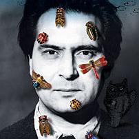 radovan